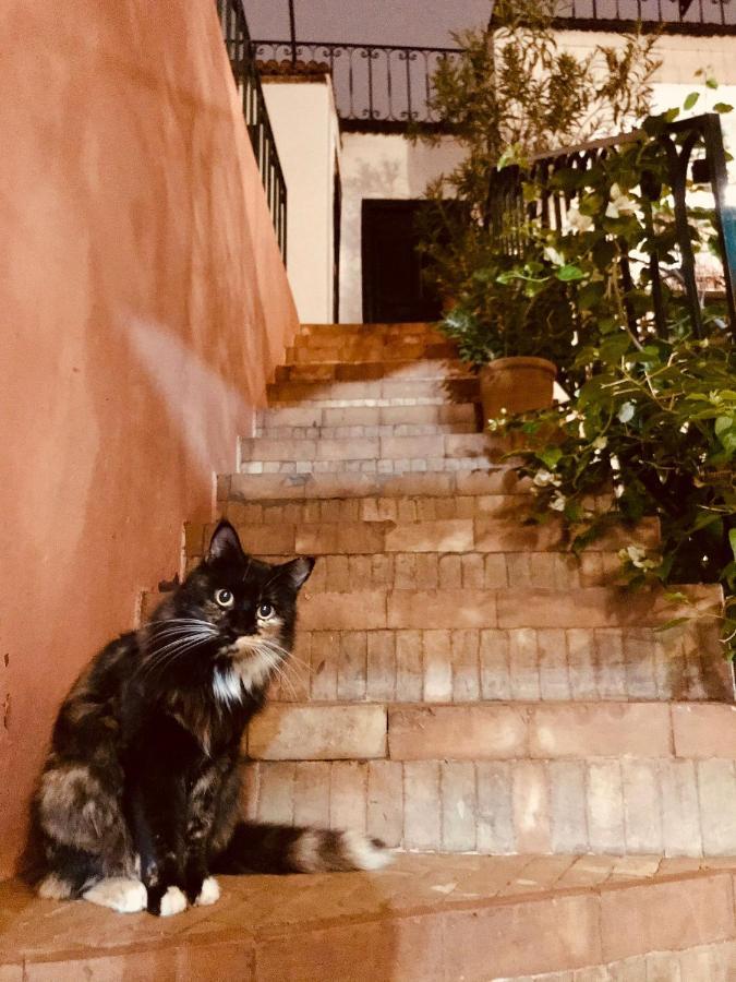 מרקש Riad Rockech מראה חיצוני תמונה